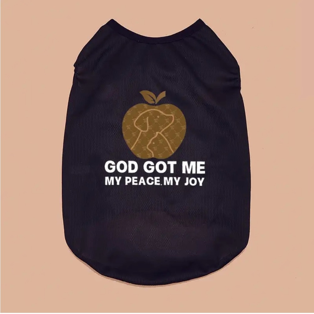 Christian Theme “God Got Me” Tank Top Outfit for Mini/Sm Pet Dog or Cat - Picture 4 of 7
